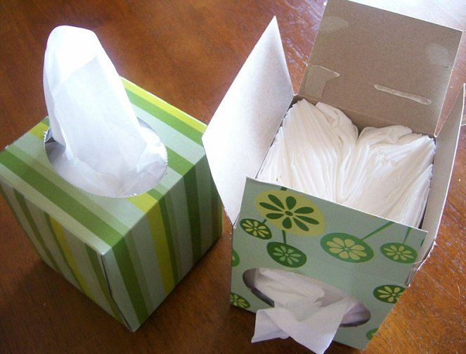 Khăn giấy và giấy vệ sinh